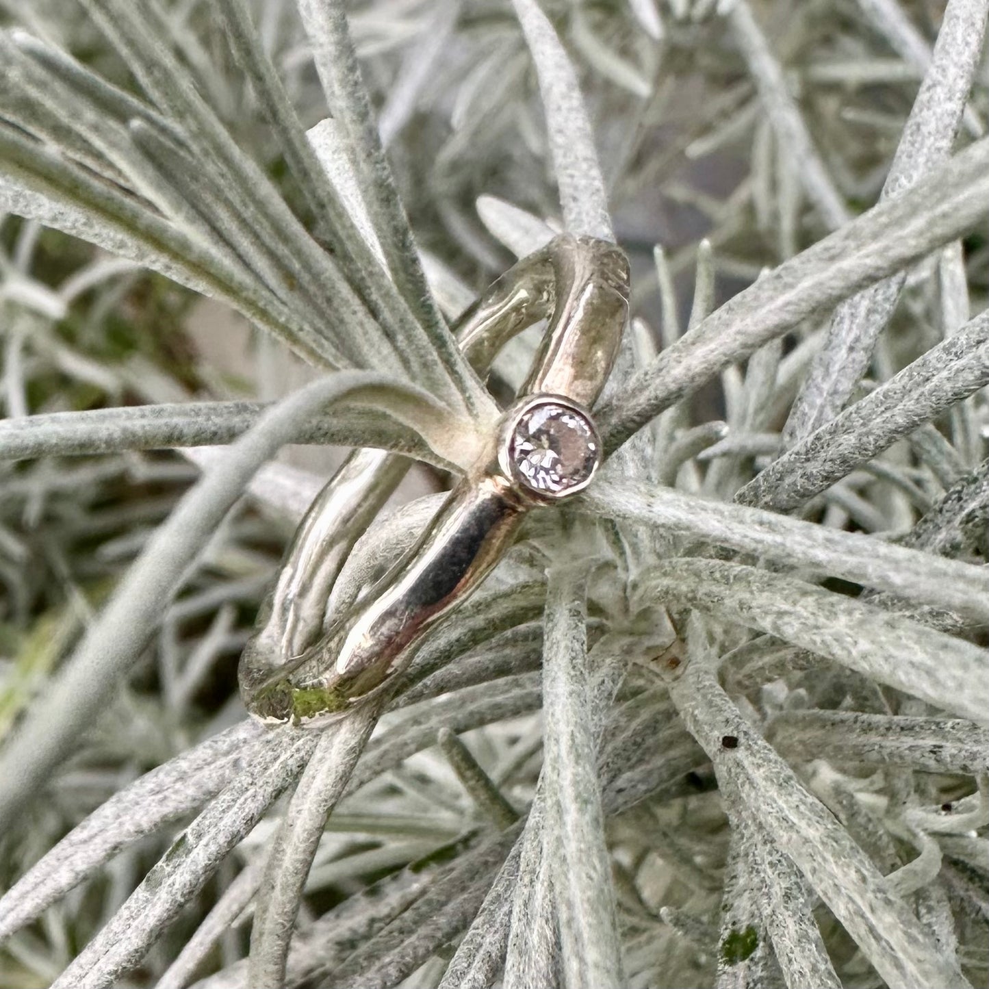 Fenella Ring