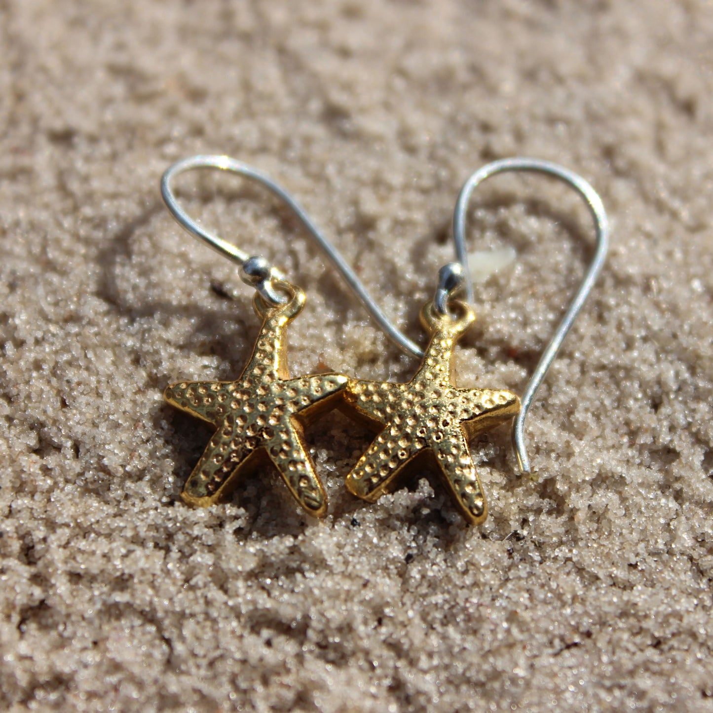 Little Star Hook Earring