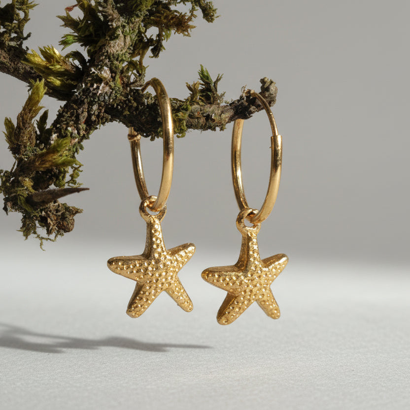 Stars and Hoops