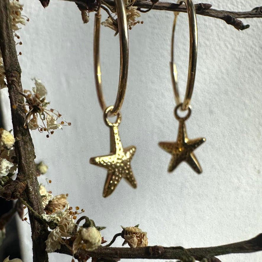 Stars and Hoops