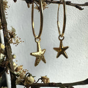 Stars and Hoops