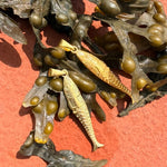 two gold fish resting on sea kelp