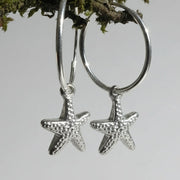 Stars and Hoops