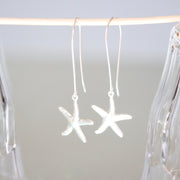 Starfish Earrings