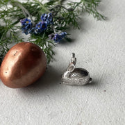 Silver rabbit