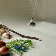 Silver rabbit